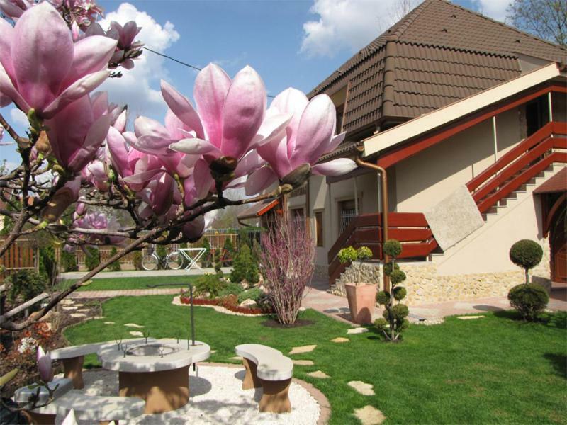 Szegfu Apartman Vila Hajdúszoboszló Exterior foto